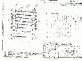 SLI cable blueprint.gif